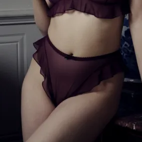 Delphine Knickers Purple Mesh