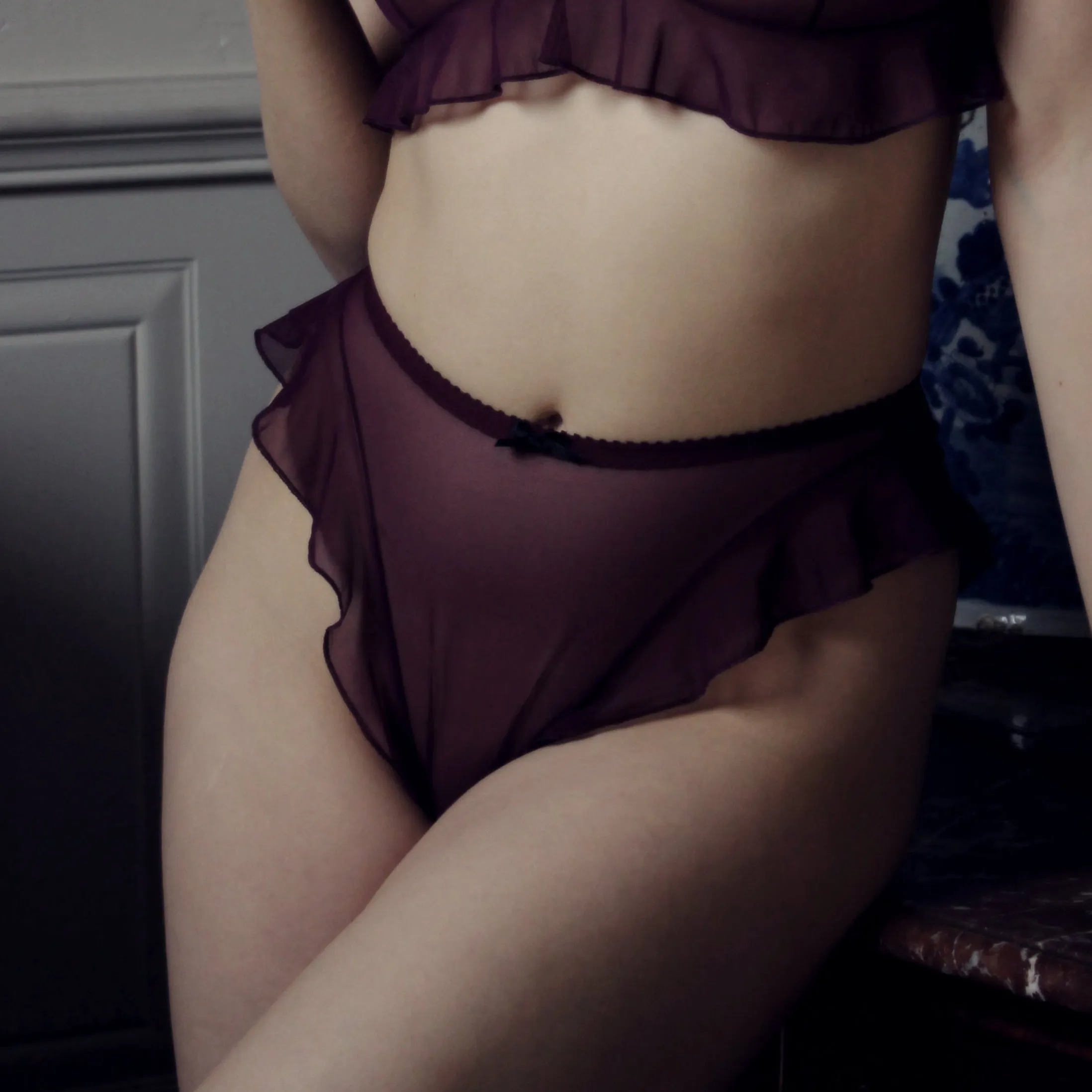 Delphine Knickers Purple Mesh