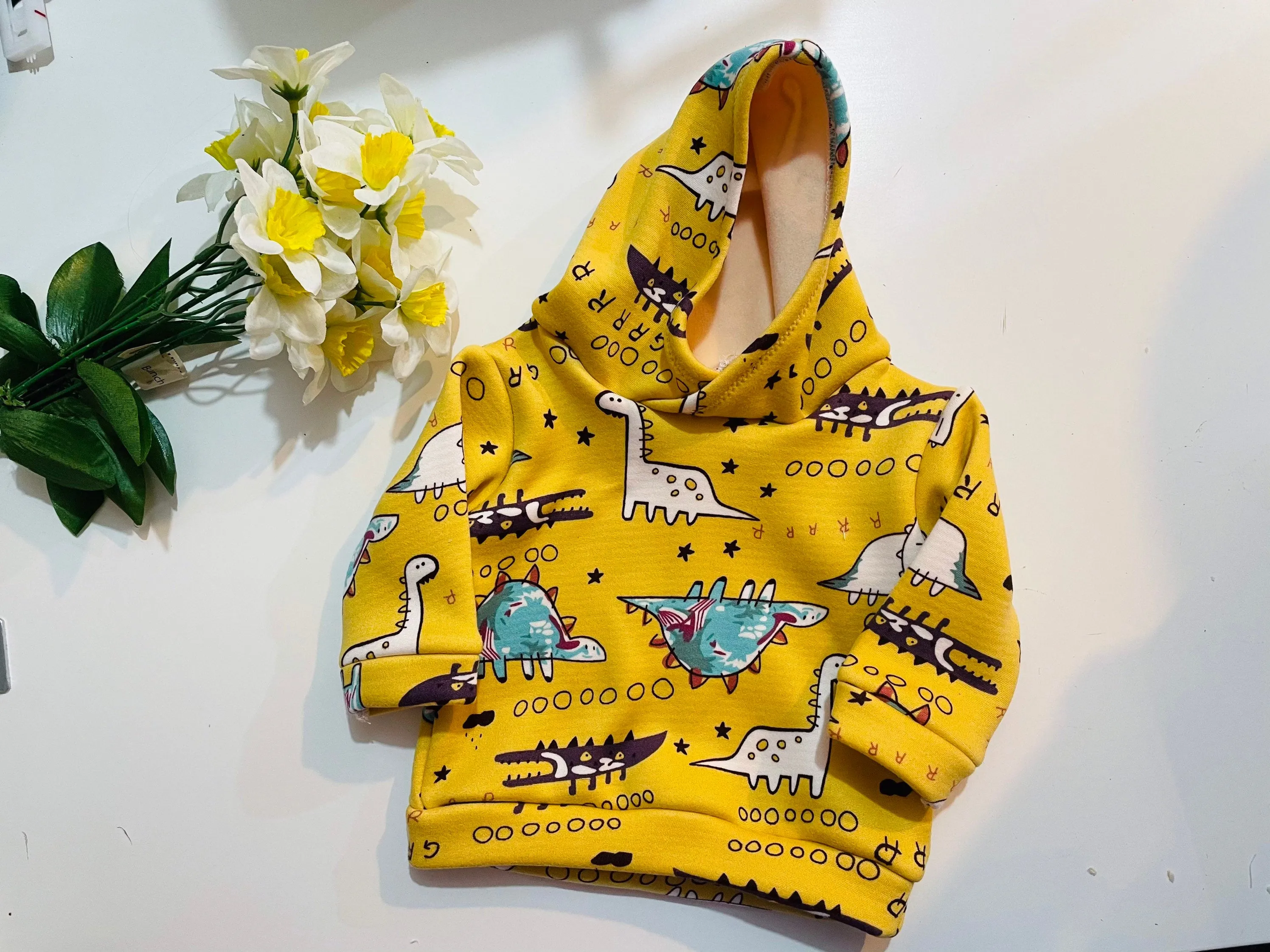 Kids Dinosaur hoodie,