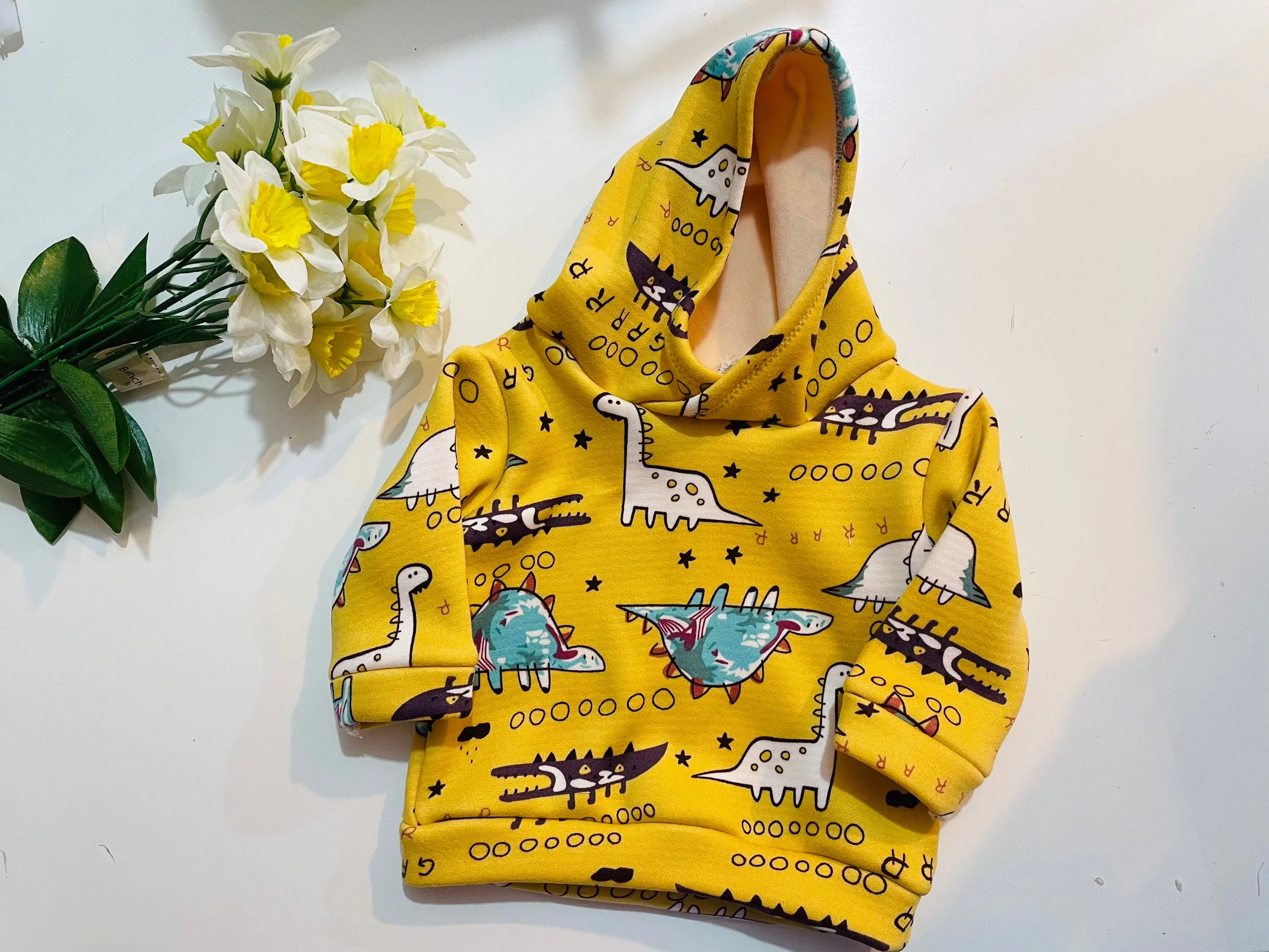 Kids Dinosaur hoodie,