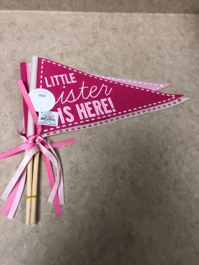 Little Sister Pennant Set